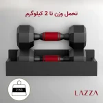 نظم دهنده مگنتی لازاهوم